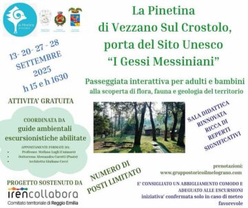 Leggi: «Alla scoperta della Pinetina di Vezzano,…»