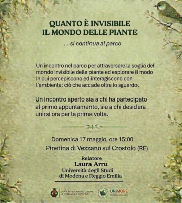 Leggi: «Domenica 17 maggio “Quanto è invisibile…»