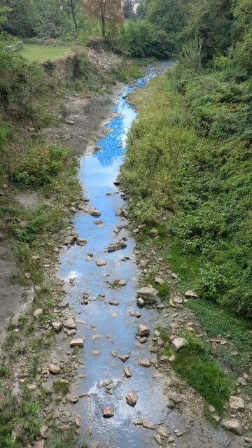 Leggi: &laquo;Anomala colorazione del torrente Crostolo: attivati&hellip;&raquo;